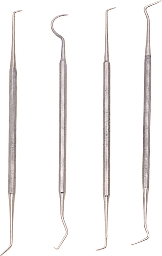 Dental Pick Set